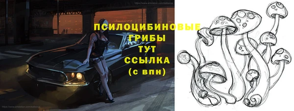 мяу мяу мука Абинск