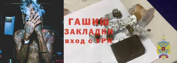 гидра Абаза