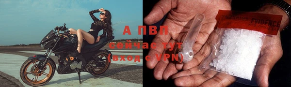 гидра Абаза