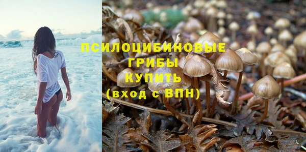 мяу мяу мука Абинск