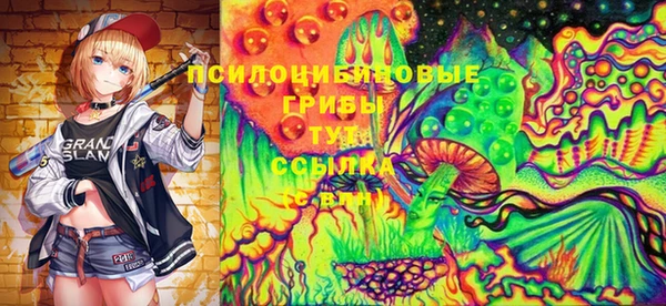 гашик Осинники