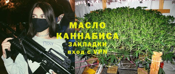 гашик Осинники